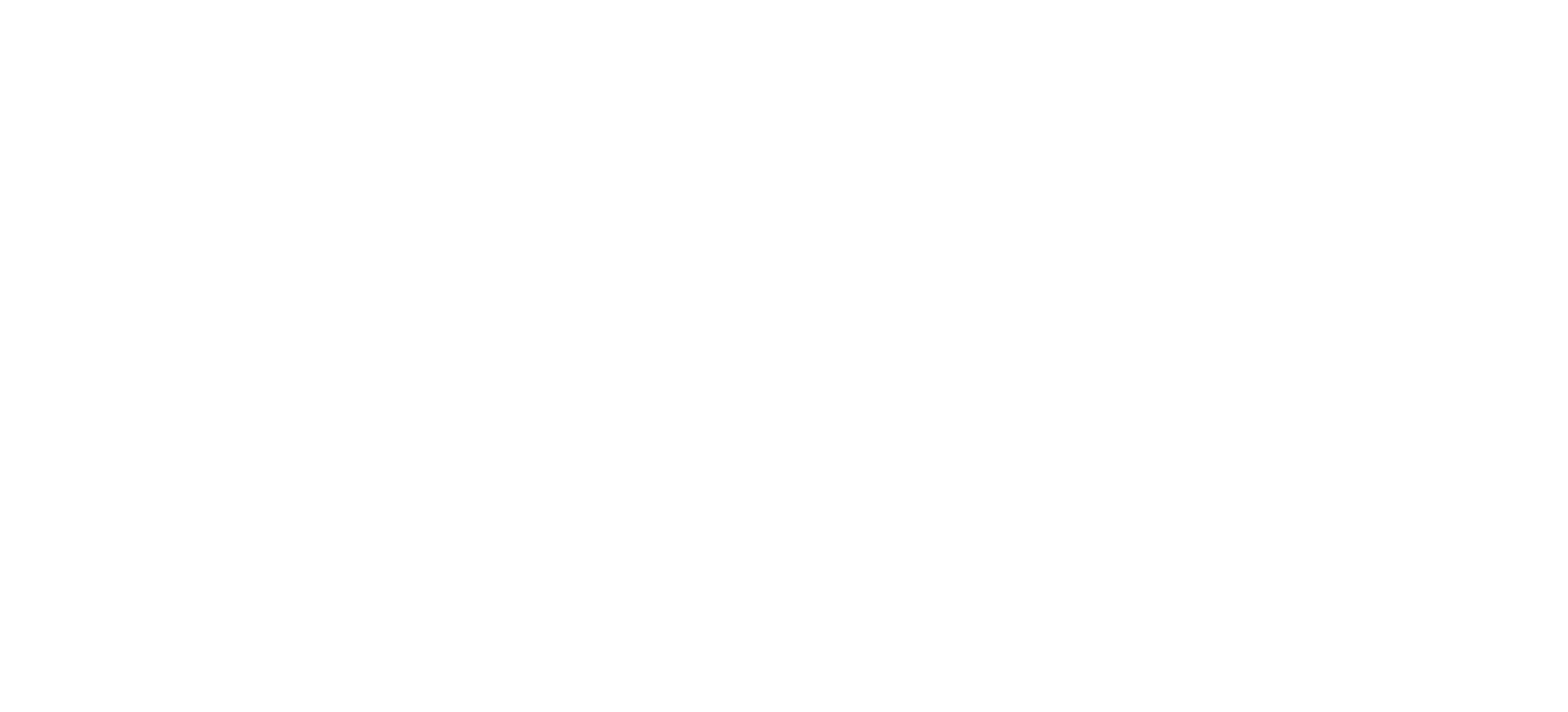 BDS-TextLogo