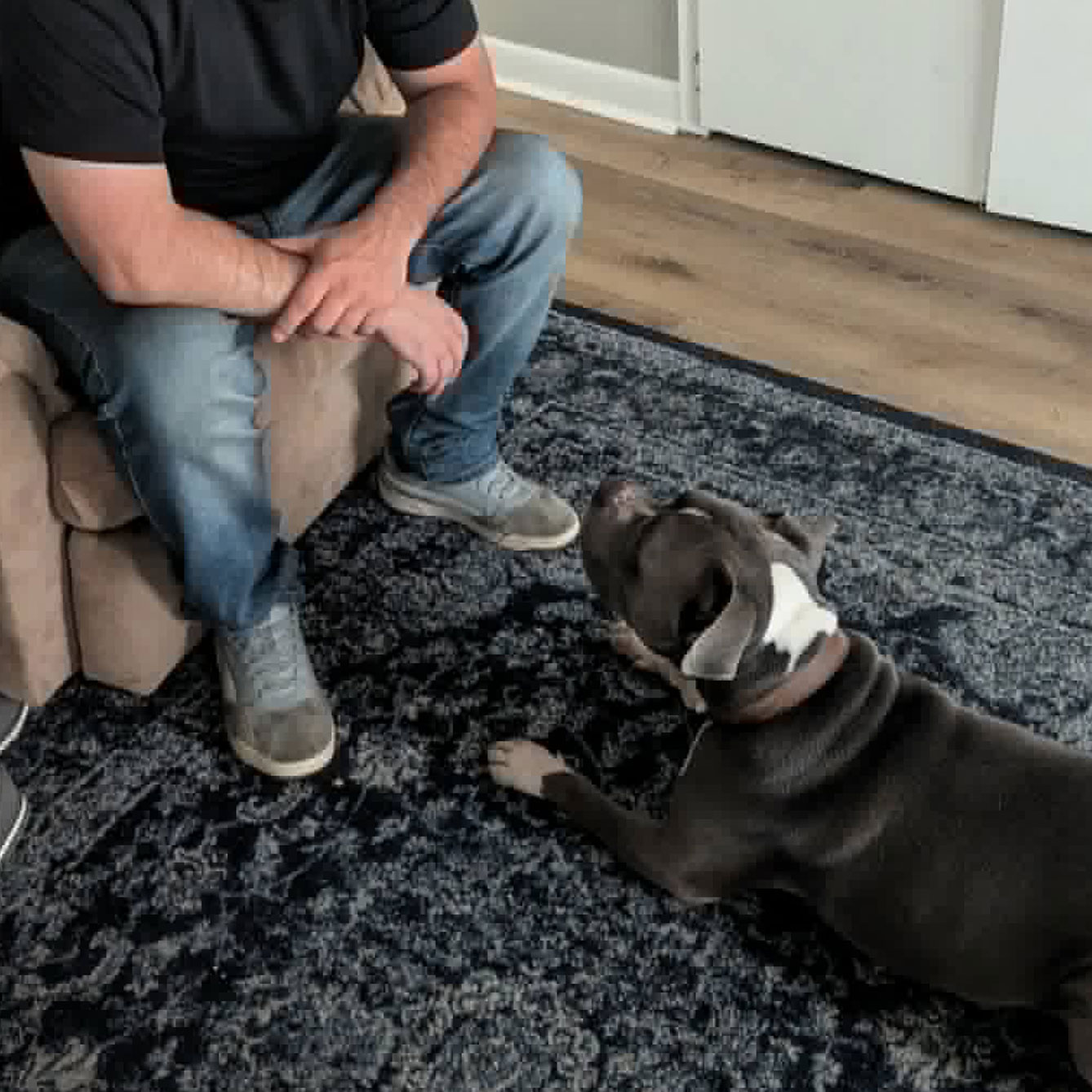 private-virtual-dog-training